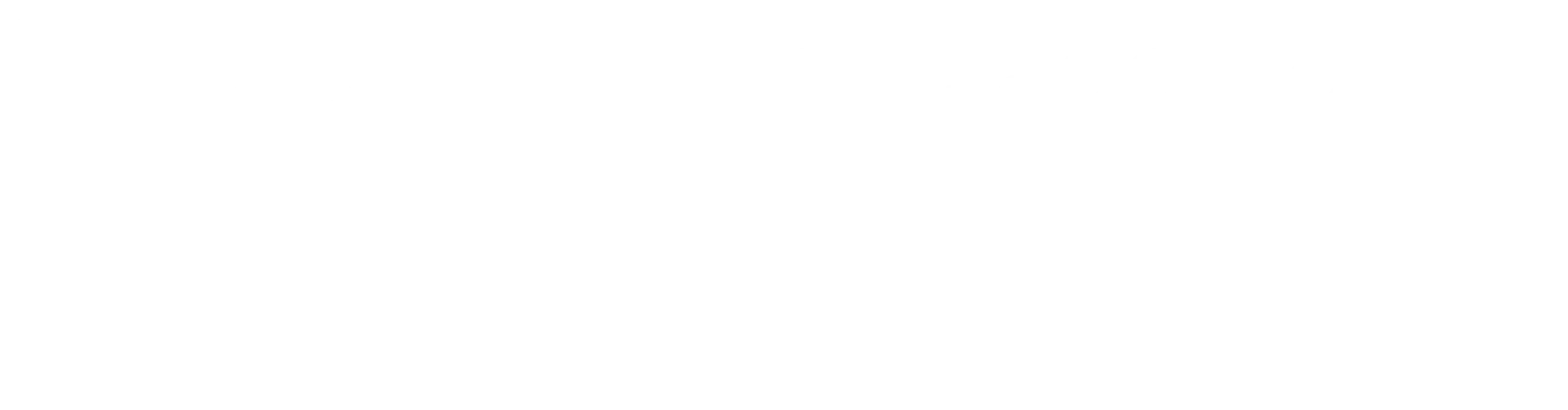 Financiado por la Union Europea